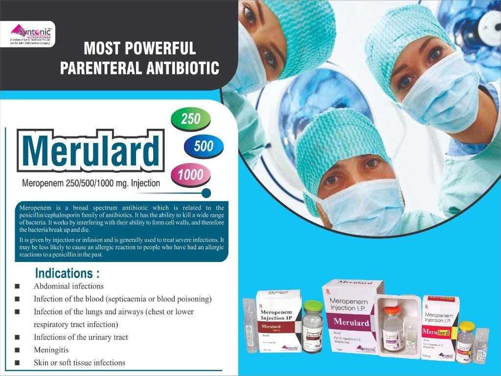 MERUlard-500 Visual